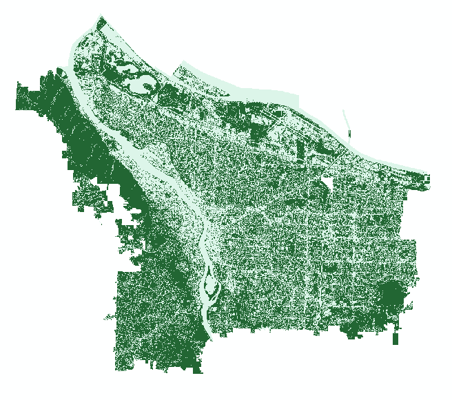 The NDVI of the NAIP composite reclassified using a threshold. Remember that this layer gives a good indication of all vegetated surfaces, but does not distinguish trees from grass.